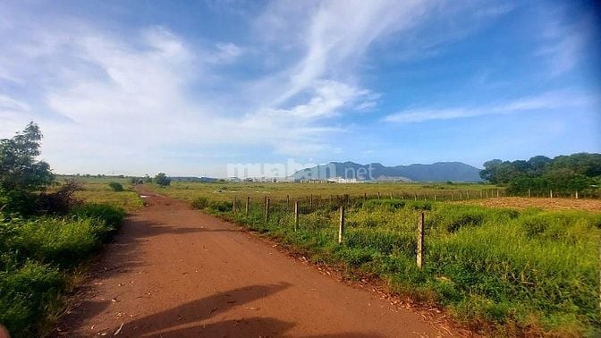 Bán đất ngay kcn Châu Đức, xã Nghĩa Thành - Tp.HCM