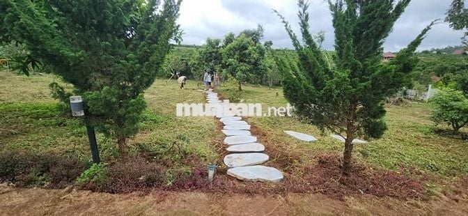 chính chủ cần bán gấp nhà vườn 6.000m2 trong khu du lịch sinh thái