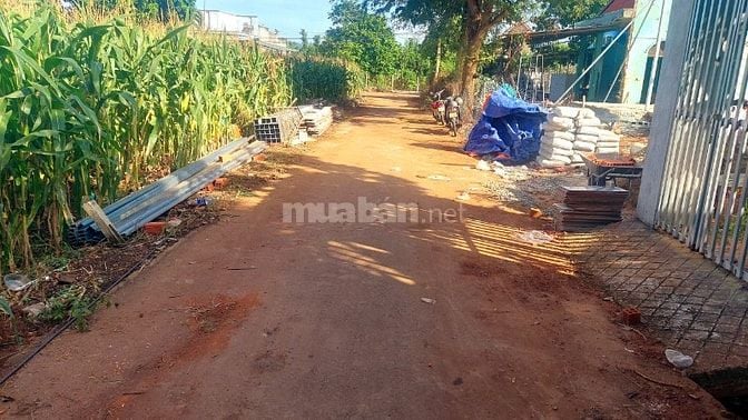 Bán đất ngay kcn Châu Đức, xã Nghĩa Thành - Tp.HCM