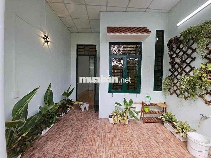 Chính chủ ngộp bán gấp cuối năm,100m2,shr,750tr. còn bớt