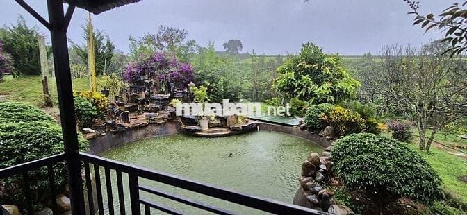 chính chủ cần bán gấp nhà vườn 6.000m2 trong khu du lịch sinh thái