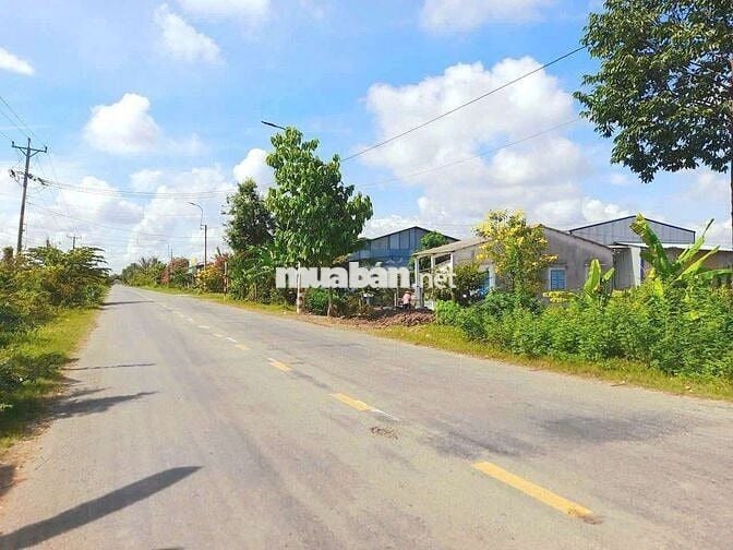 Siêu phẩm, 200m2 đất thổ cư đường xe container chỉ 1.35 tỷ