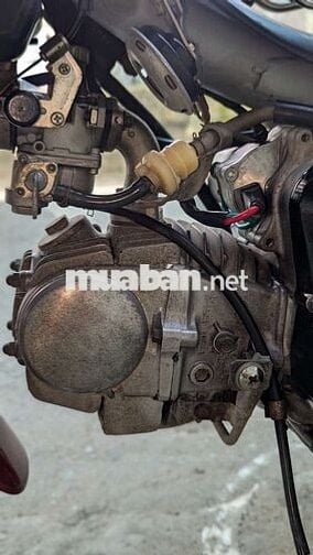 Honda Wave Anpha 2002 Đỏ