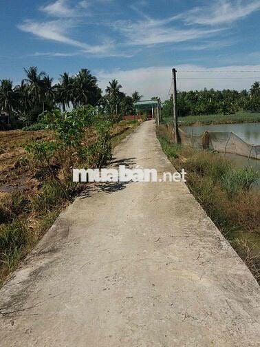 Bán gấp đất full thổ cư GIÁ RẺ 550tr