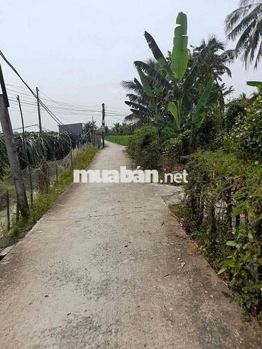 Bán gấp đất full thổ cư GIÁ RẺ 550tr