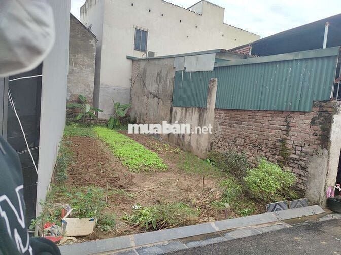 ĐẤT ĐẸP ĐẠI MẠCH ĐÓN SÓNG ĐẦU TƯ CẦU THƯỢNG CÁT