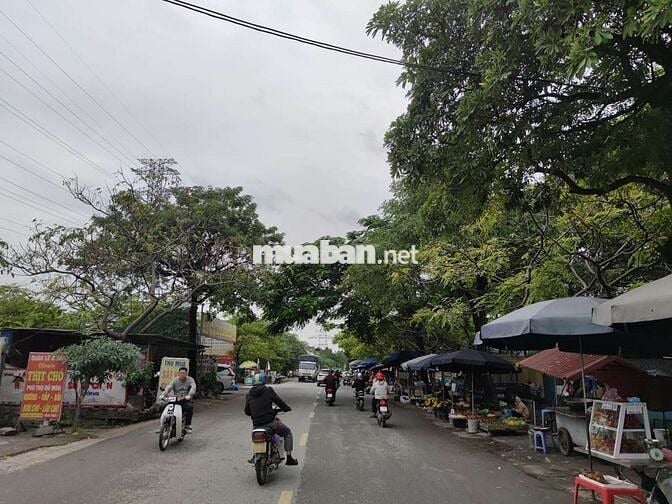 ĐẤT ĐẸP ĐẠI MẠCH ĐÓN SÓNG ĐẦU TƯ CẦU THƯỢNG CÁT