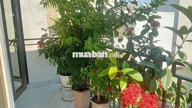 Bán nhà , 64m2, 3 phòng ngủ, thôn Cầu Thăng Long , sát Đường Anh Dũng