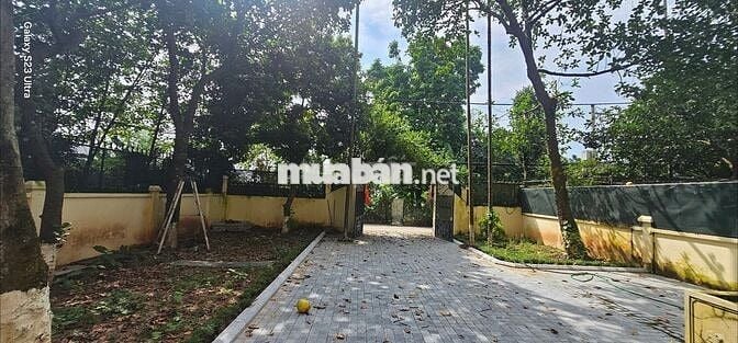 Chính chủ gửi bán căn biệt thự view Sông Hồng