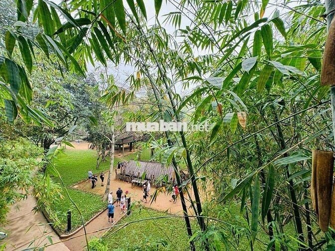 BÁN NHÀ KHU PHÂN LÔ ĐƯỜNG 800A DIỆN TÍCH 52M GIÁ 18TY Ô TÔ ĐỖ CỬA