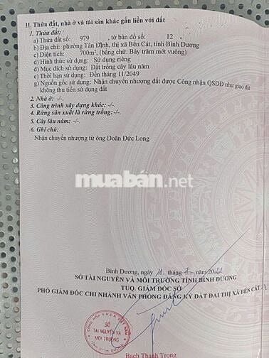 Bán Gấp Lô Đất Tại Tân Định Bến Cát 700m2 Thổ Cư 320m Nhựa 7m Giá Ngộp