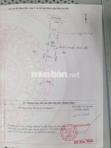 Bán Gấp Lô Đất Tại Tân Định Bến Cát 700m2 Thổ Cư 320m Nhựa 7m Giá Ngộp