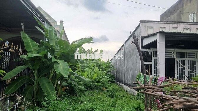 Ngân hàng thanh lý lô đất tại phường Tân Định, TP. Bến Cát, Bình Dương