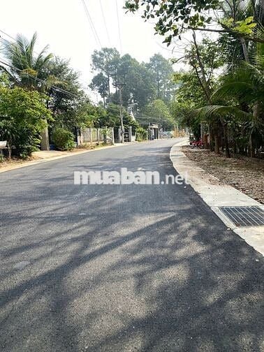 Bán Gấp Lô Đất Tại Tân Định Bến Cát 700m2 Thổ Cư 320m Nhựa 7m Giá Ngộp