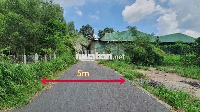 Lô đất 2 mặt tiền (620,8m2) tại xã Phú An, Bến Cát giá chỉ 1.873 tỷ