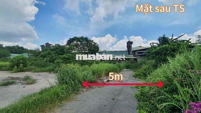 Lô đất 2 mặt tiền (620,8m2) tại xã Phú An, Bến Cát giá chỉ 1.873 tỷ