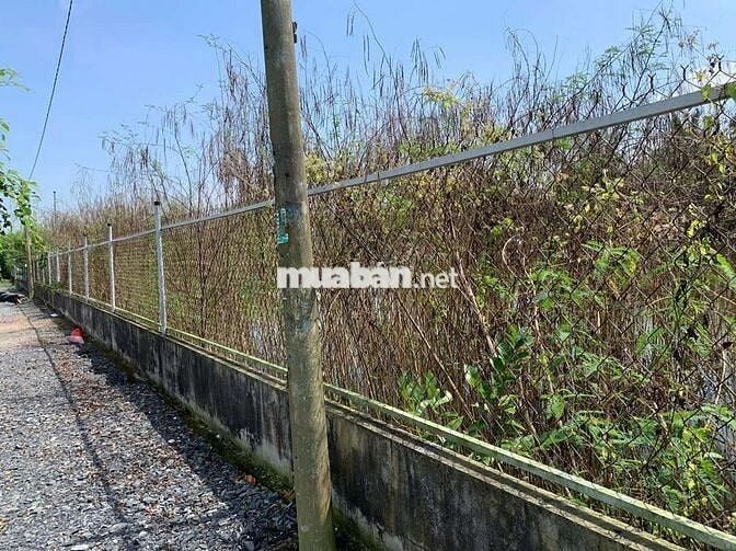 Bán Đất Nông Nghiệp + Gần Đường 4B, Đa Phước, Bình Chánh, TP. HCM