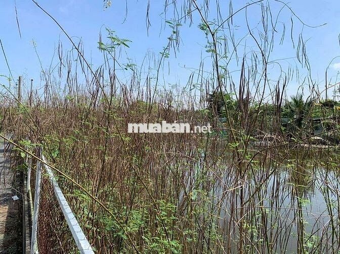 Bán Đất Nông Nghiệp + Gần Đường 4B, Đa Phước, Bình Chánh, TP. HCM