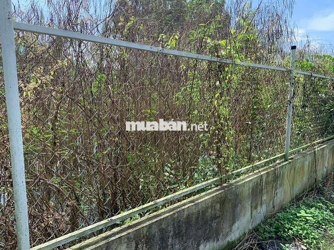 Bán Đất Nông Nghiệp + Gần Đường 4B, Đa Phước, Bình Chánh, TP. HCM