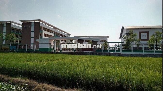 BÁN NHÀ 3 TẦNG 92 M2-THÔN HẬU DƯỠNG -MẢNH HIẾM-THANH KHOẢN CỰC TỐT