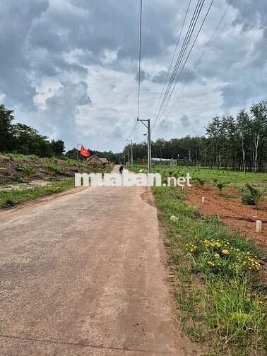 Bán Gấp Lô Đất Mặt Tiền Đường Đất DH519