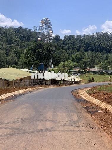 CẦN BÁN GẤP TRONG THÁNG - QUỸ ĐẤT LỚN B’LA 1,3HA - GIÁ ĐẦU TƯ