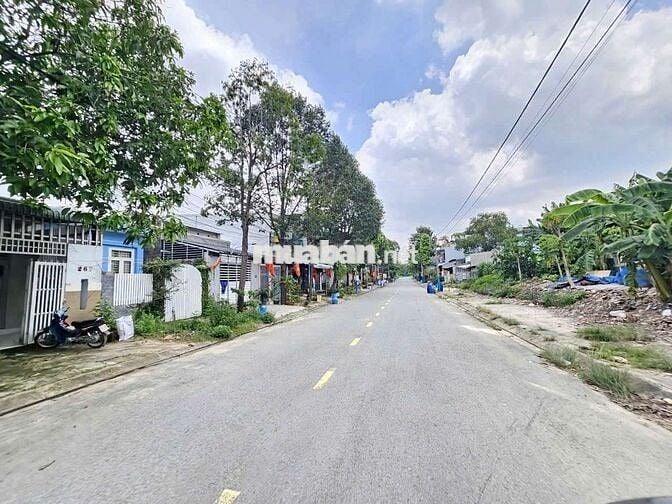 Đất đường Huỳnh Thị Tươi phường Tân Bình Tp Dĩ An