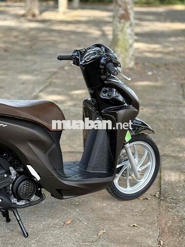 Vision mẫu mới 2021 có góp