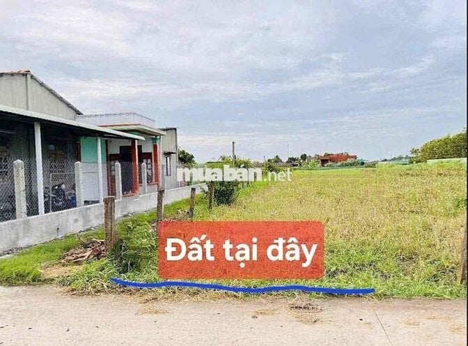 🌿🌿 GIẢM GIÁ SÂU 395 TRIỆU – THỔ CƯ GIÁ RẺ LẠC TẤN, TÂN TRỤ – LONG AN 📍