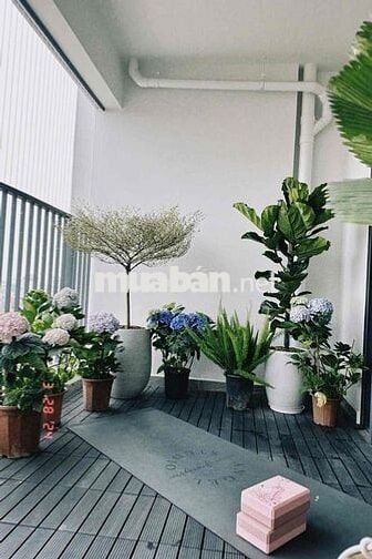 chung cư cao cấp Feliz Home - 297 Hoàng Mai