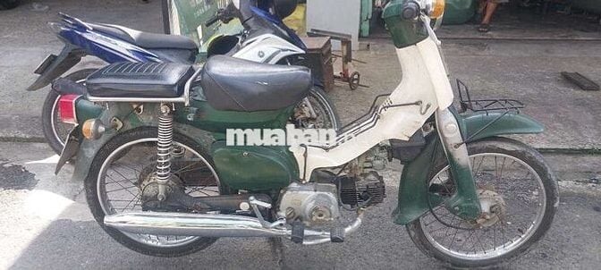 Honda cub 81 bstp