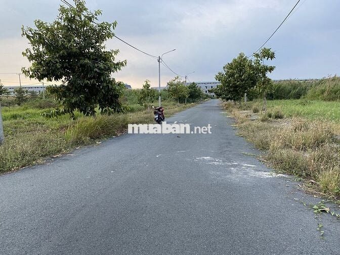 Nền vạn phát sông hậu,  hẽm hong 1m, Mái Dầm, Châu Thành, Cần thơ