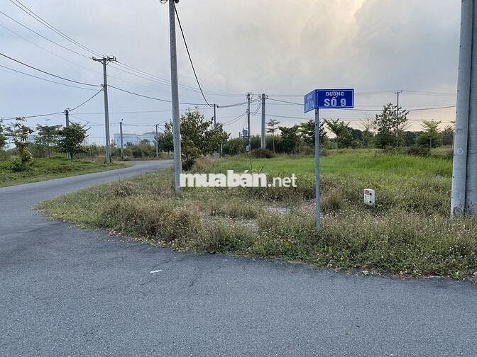 Nền vạn phát sông hậu,  hẽm hong 1m, Mái Dầm, Châu Thành, Cần thơ