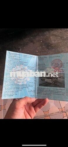 Cần bán xe nhà Kia Morning 2008 SLX 1.0 MT