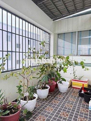 Cho thuê nhà nguyên căn Gò Vấp