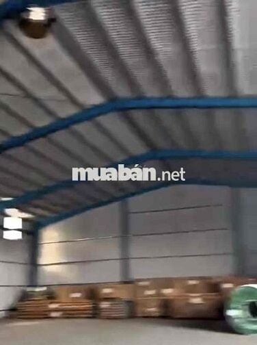 Kho diện tích 500m2 cần cho thuê gấp ở Nguyễn Tất Thành đường xe cont