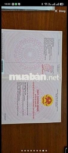 Bán căn nhà cũ gần Cổng KDC Tây Sông Hậu