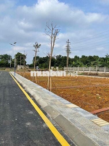 Bán đất Cổ Đông _ Sơn Tây 100m2 giá hơn 3 tỷ   gần Ngã Tư Lục Quân