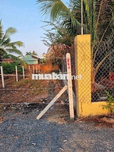 Bán đất Phước Bình - Trảng Bàng - Tây Ninh