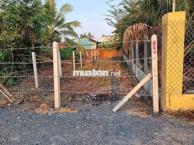 Bán đất Phước Bình - Trảng Bàng - Tây Ninh