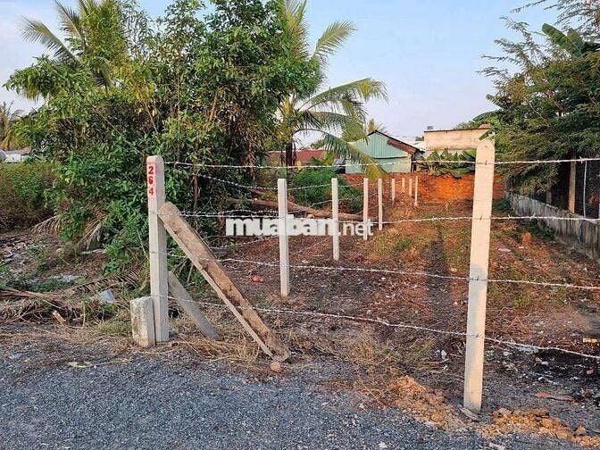 Bán đất Phước Bình - Trảng Bàng - Tây Ninh