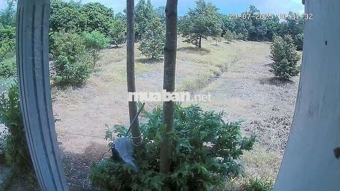 Chính chủ bán đất 6473m² ngang 72m giá 9.8 tỷ Xã Phước Thạnh