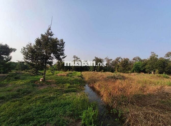 Chính chủ bán đất 6473m² ngang 72m giá 9.8 tỷ Xã Phước Thạnh