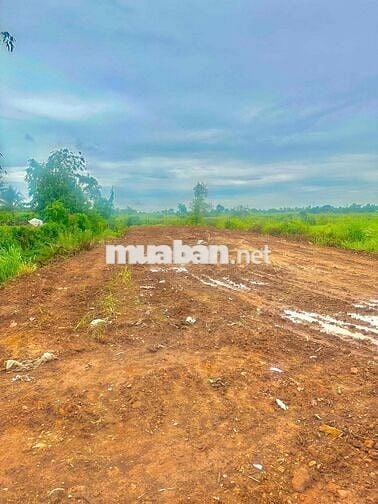 🌟 SIÊU PHẨM ĐẤT MẶT TIỀN XUÂN THỌ – CƠ HỘI ĐẦU TƯ VÀ AN CƯ HIẾM CÓ!