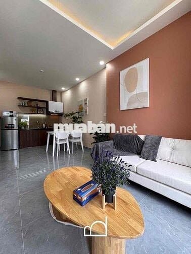 Căn hộ 1PN, 1PK 50m2 chỉ 9,5tr gần LOTTE MART, cầu Him Lam, RMIT