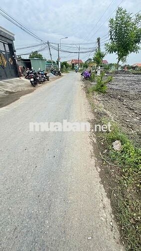 Xây Biệt Thự Sân Vườn – 8x35m Full Thổ, Gần Chợ!