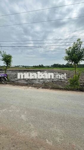 Xây Biệt Thự Sân Vườn – 8x35m Full Thổ, Gần Chợ!