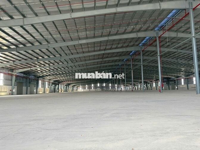 Xưởng mới 100% – Quy mô 50.000m² KCN LONG AN (TÂY NINH MỚI)