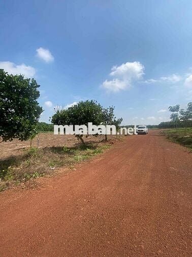 Đất Vườn Xã Phước Thành ,TP HCM 1174m2 giá chỉ 800tr