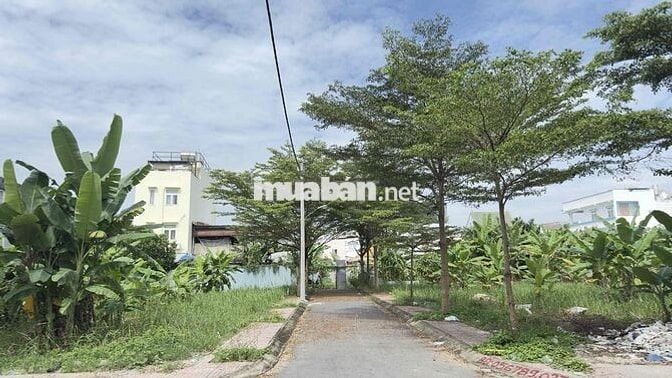 🏡 Bán Đất KDC Đẹp Đồng Bộ, Thổ 💯 _ Sổ Riêng, Xây Dựng Tự Do _ DT 5M ❌️